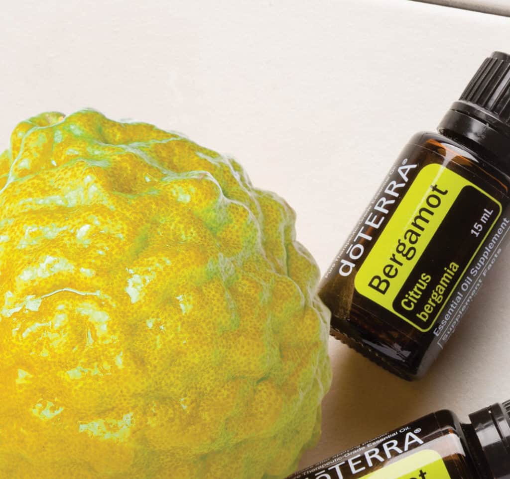 BERGAMOT – (Citrus bergamia)