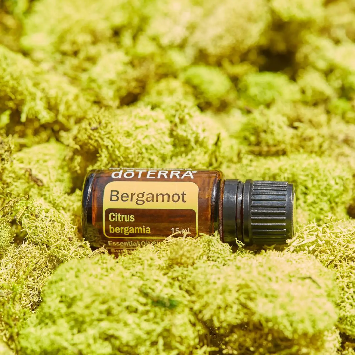 Bergamot - 15ml - doTerra - esenciální olej
