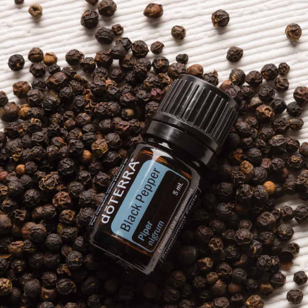 Black Pepper – ČERNÝ PEPŘ (Piper nigrum)