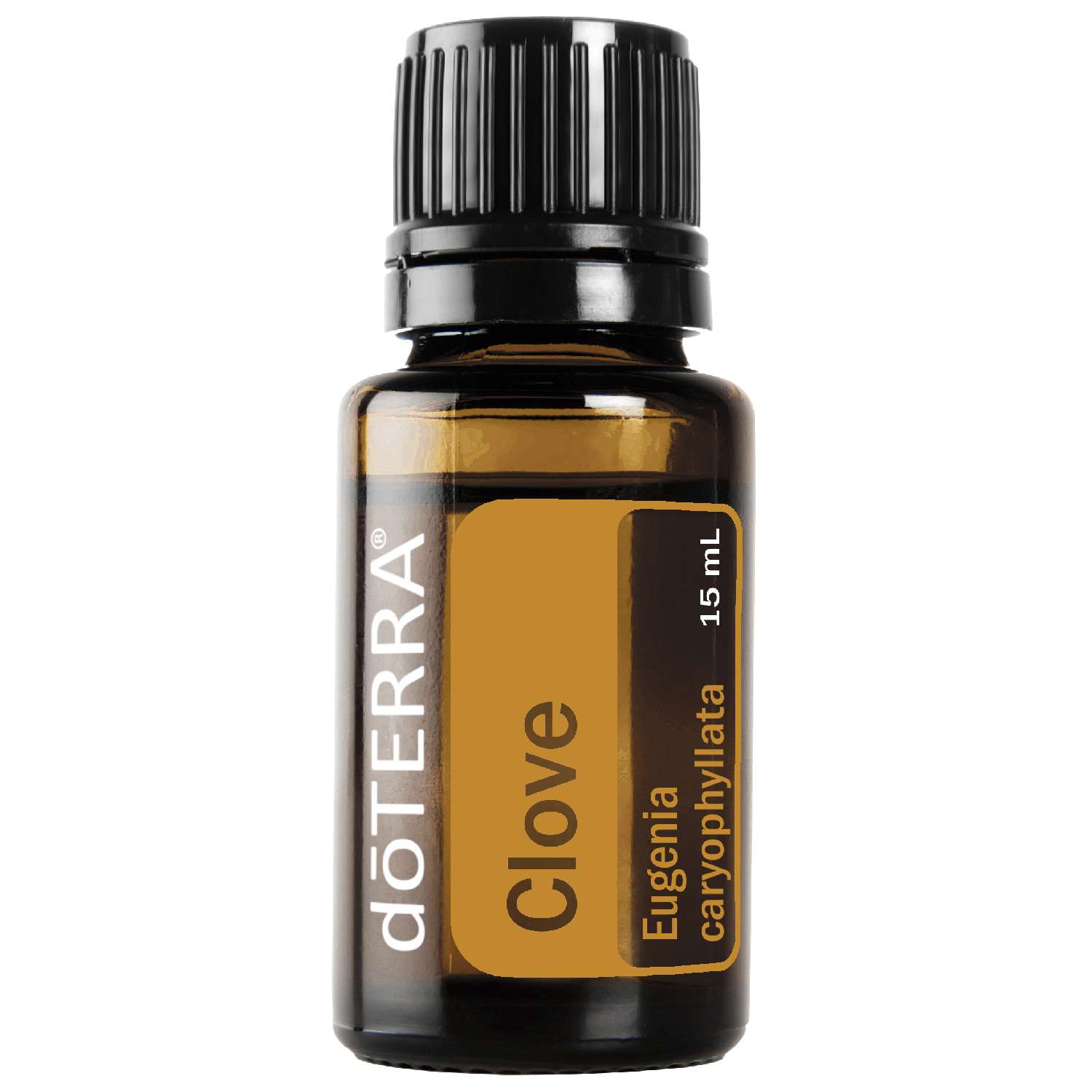 Hřebíček (Clove) - Eugenia caryophyllata - 15ml