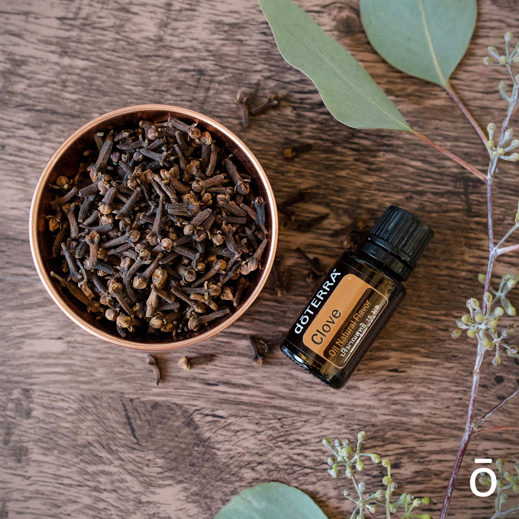 Hřebíček (Clove) - Eugenia caryophyllata - 15ml