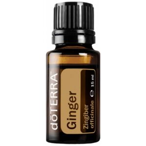 Ginger - Zázvor lékařský (Zingiber officinale) 15ml