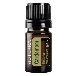 Kardamon (Cardamom) - Elettaria cardamomum