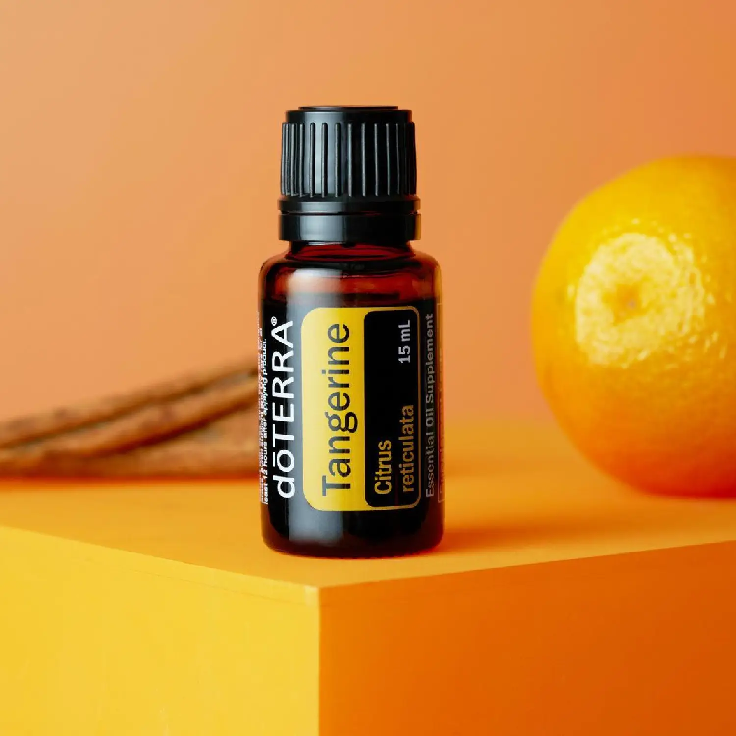 Tangerine – MANDARINKA OBECNÁ (Citrus reticulata)