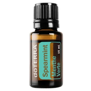 Máta klasnatá - Spearmint - Mentha spicata - 15ml