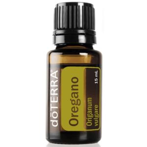 Oregano – DOBROMYSL (Origanum vulgare)