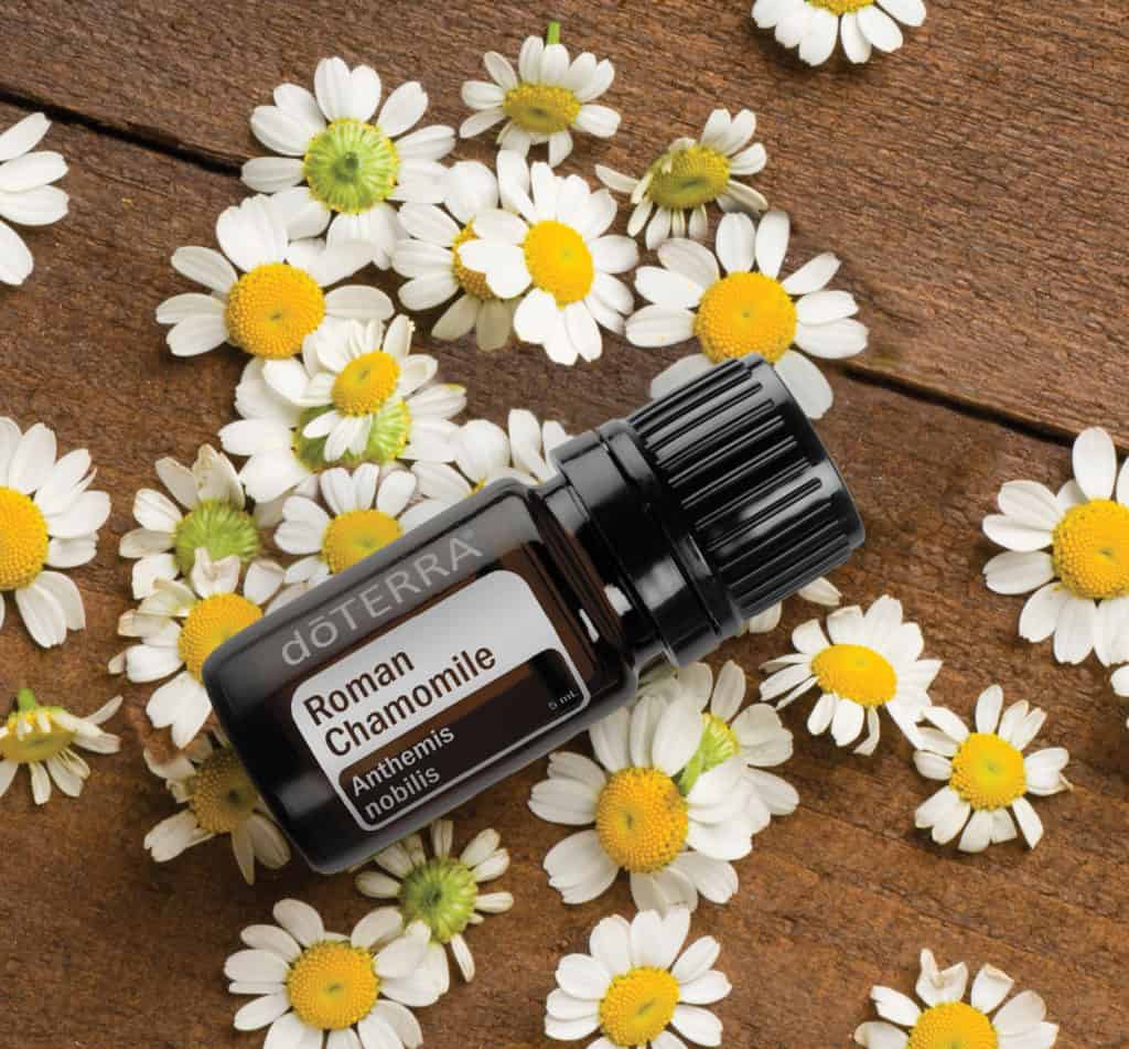Roman Chamomile – ŘÍMSKÝ HEŘMÁNEK (Anthemis nobilis)