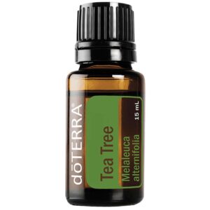 TeaTree – ČAJOVNÍK (Melaleuca alternifolia)