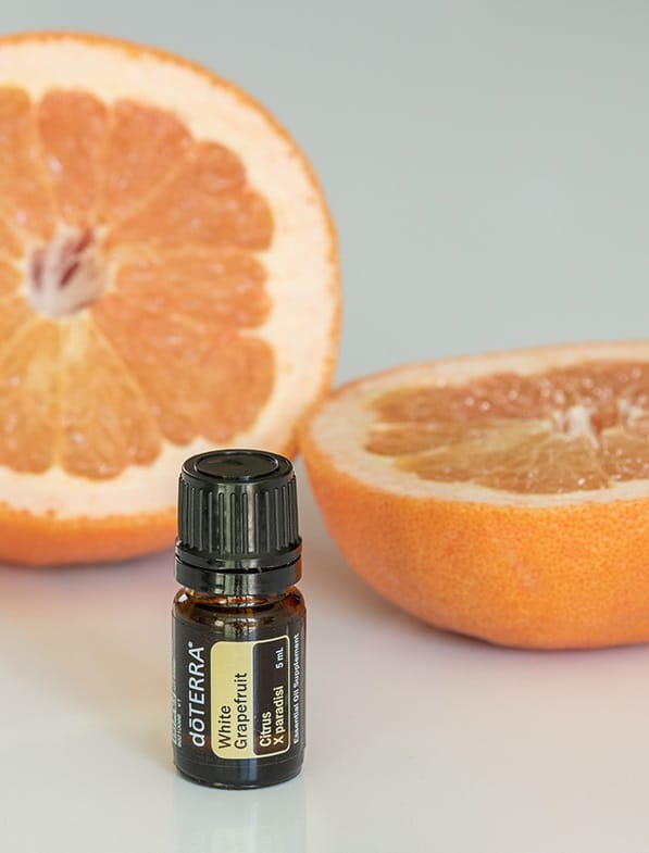 White Grapefruit – BÍLÝ GRAPEFRUIT (Citrus X paradisi)