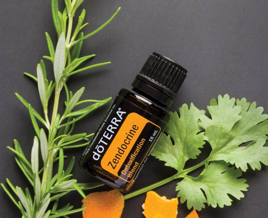 ZENDOCRINE – Detoxikační směs