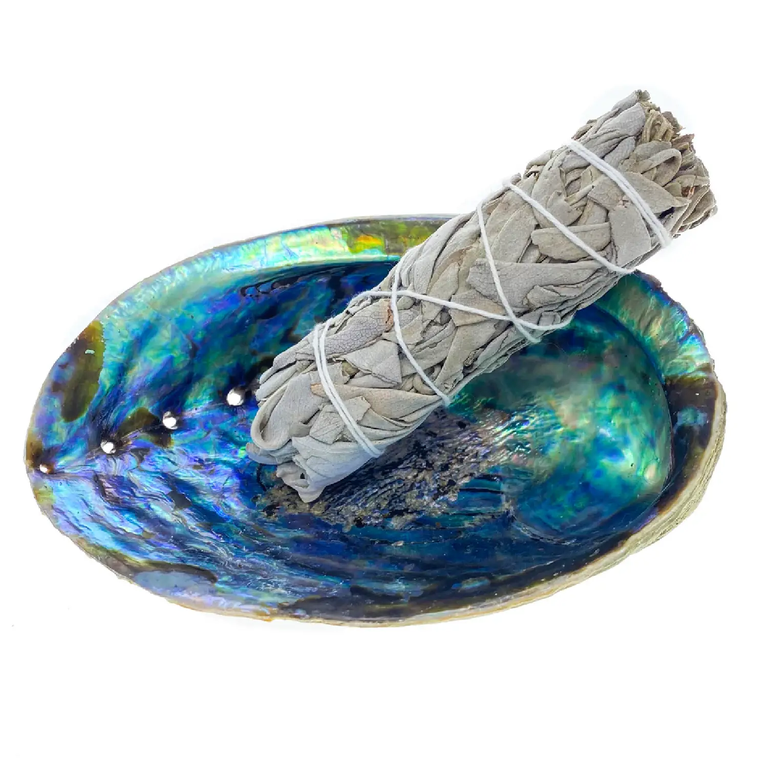 Vykuřovací mušle Abalone